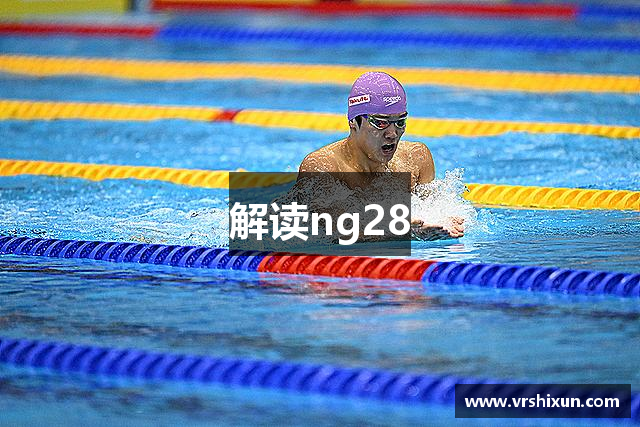 解读ng28